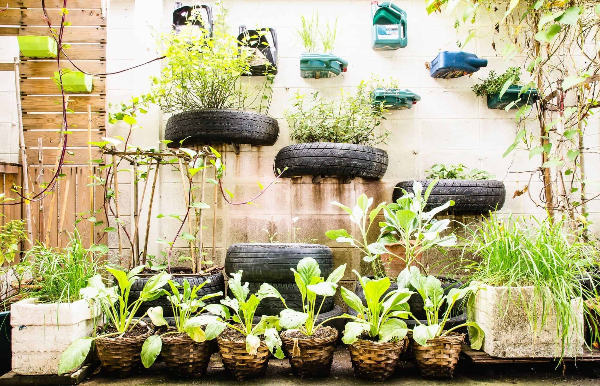 Urban Vertical Vegetable Garden