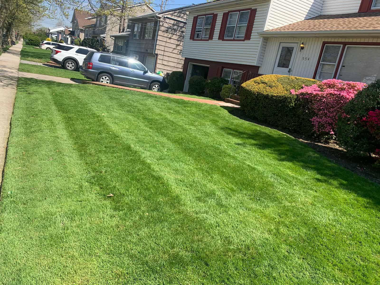 Grass cutting shop service