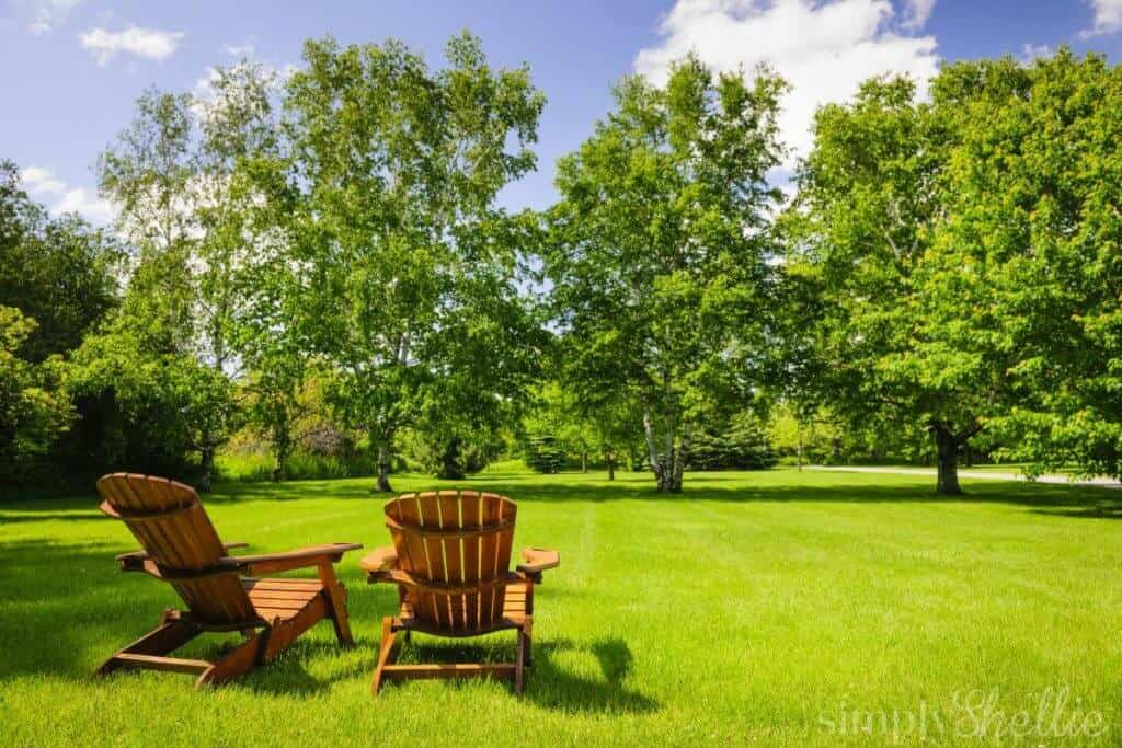 Summer Yard To-Do List for Toronto Homeowners | Eden Lawn Care and Snow ...