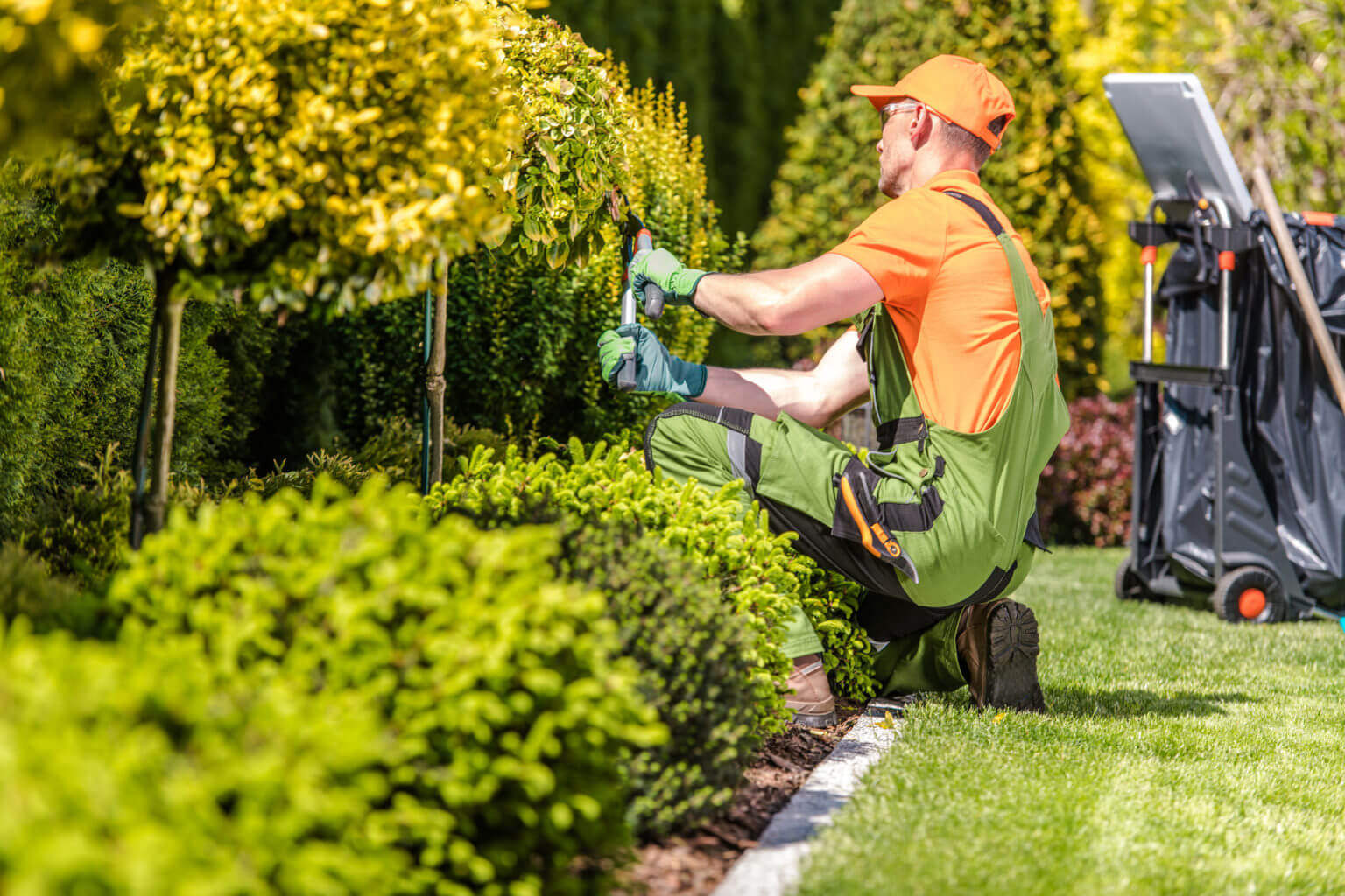 Landscape Safety 101 Eden landscaping Services USA CA