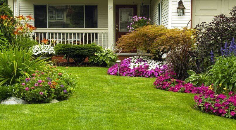 summer landscaping tips