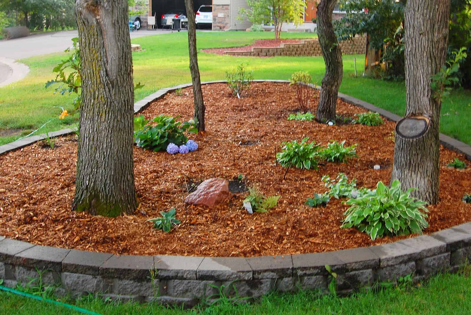 mulch installation