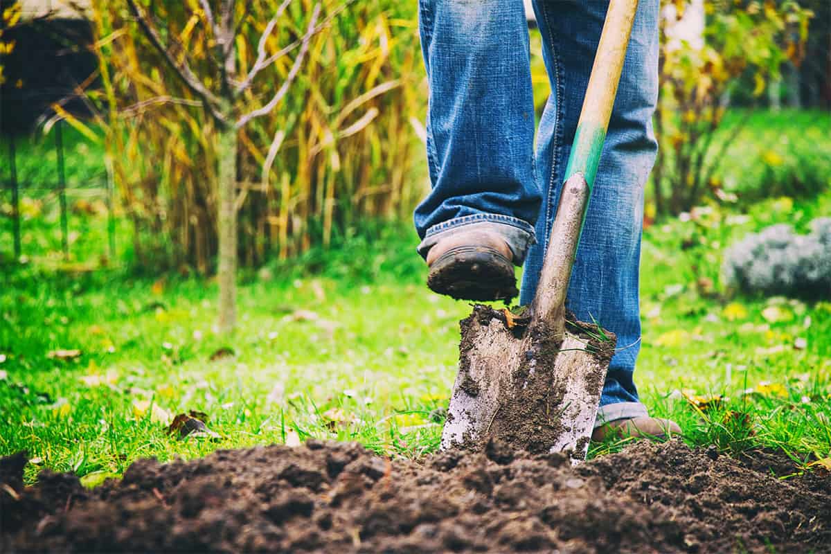 Best shovel for on sale digging up grass