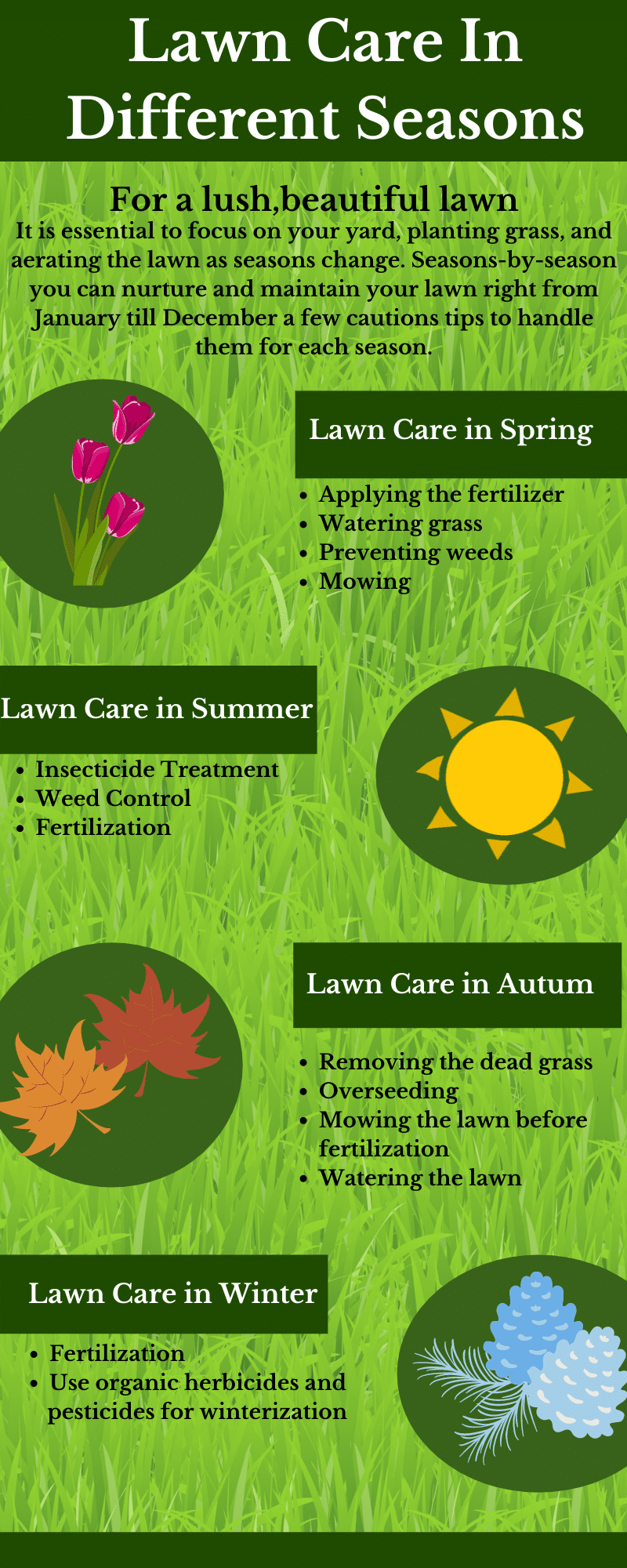 Complete Guide to Lawn Care Eden Landscaping and Snow Removal