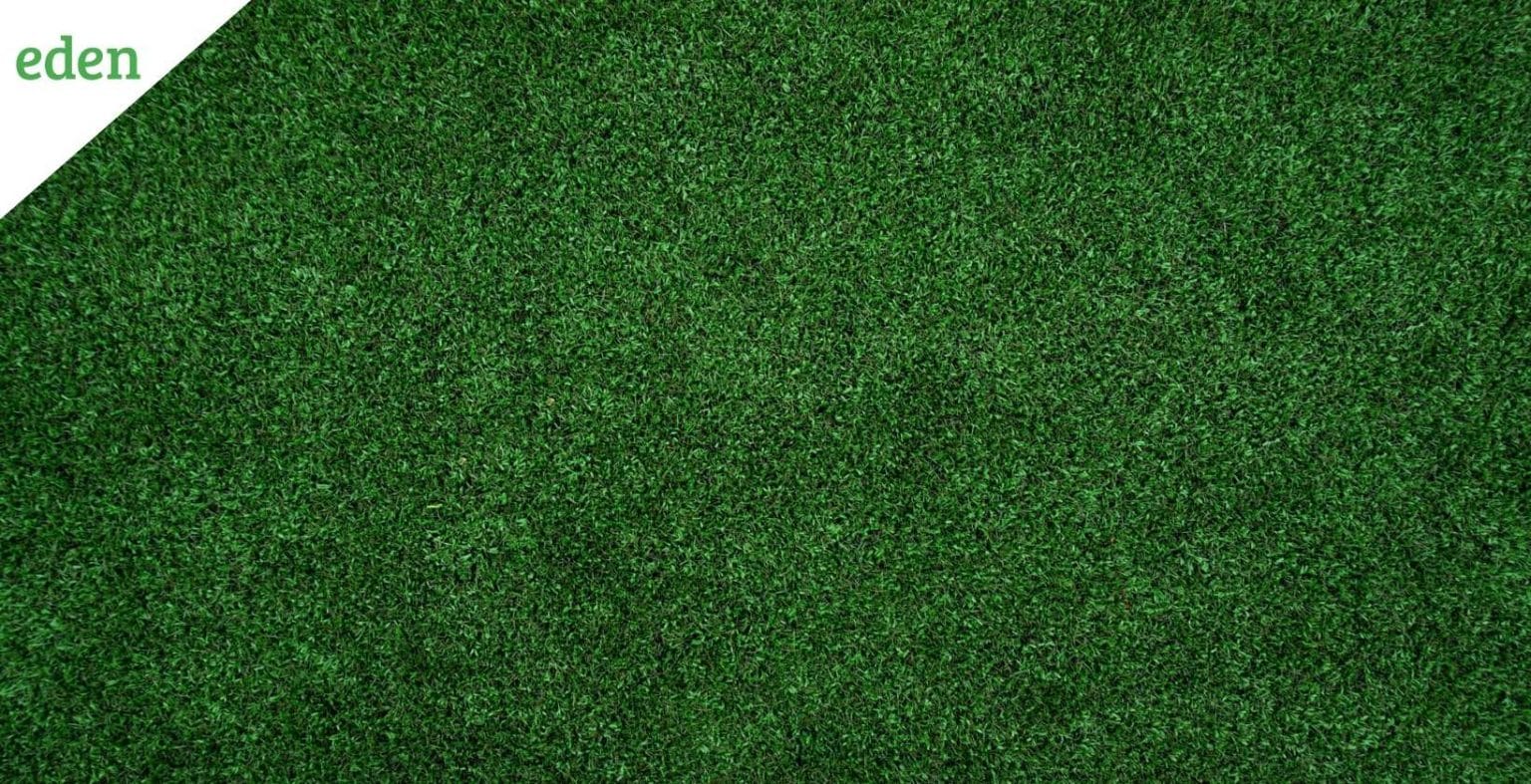 How to Top Dress a Lawn and Benefits of Top Dressing Eden Lawn Care