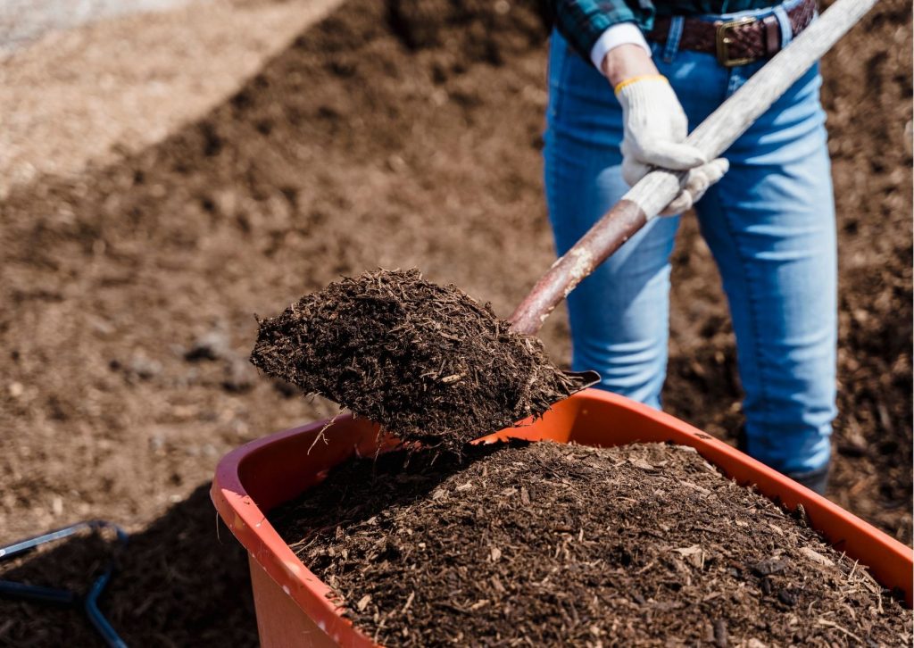 How to Top Dress Your Lawn with Compost? Edenapp