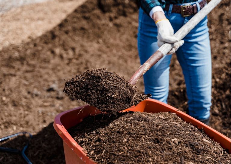 How to Top Dress Your Lawn with Compost? Edenapp