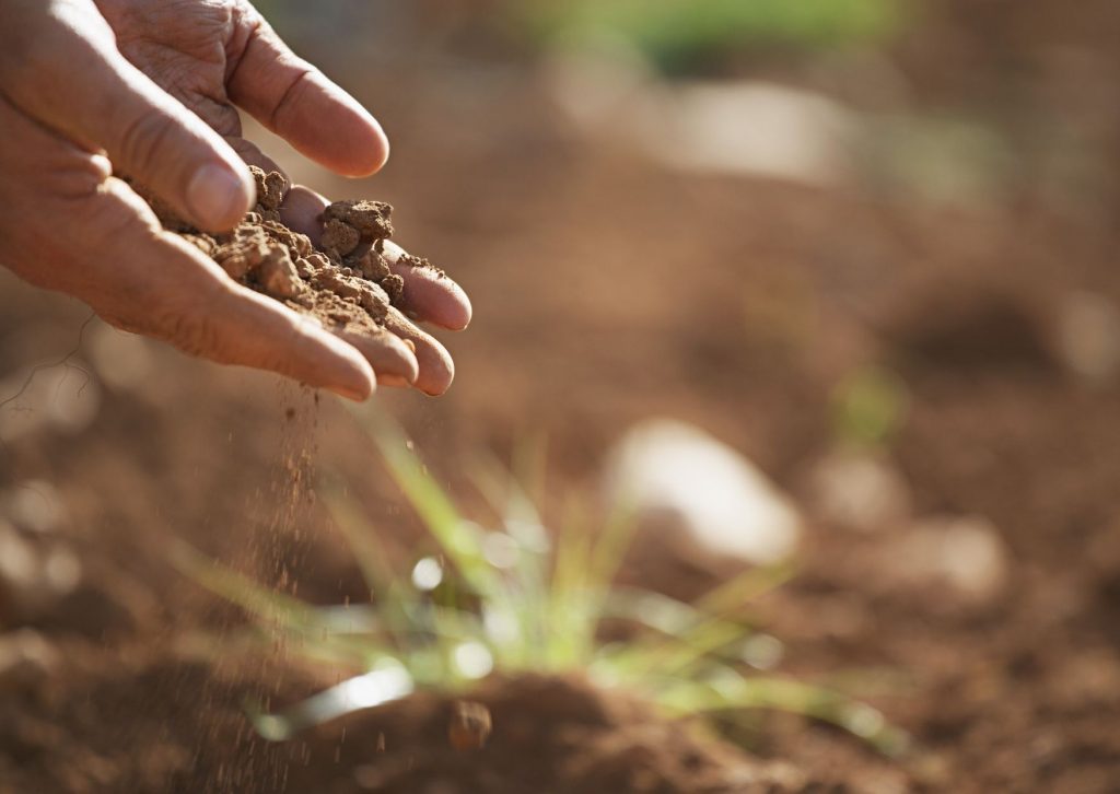 How to Top Dress a Lawn and Benefits of Top Dressing Eden Lawn Care