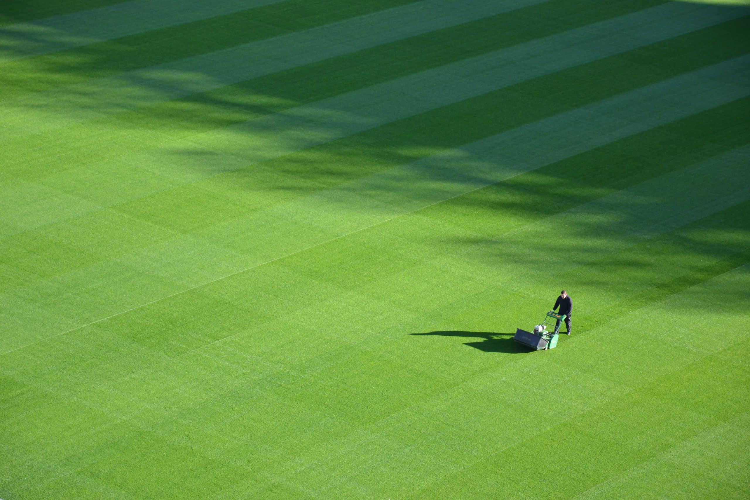 How Can Your Lawn Benefit From Verticutting?