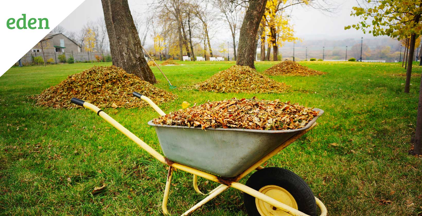 Yard Cleanup Services In Boise, ID Ideal Yard Solutions