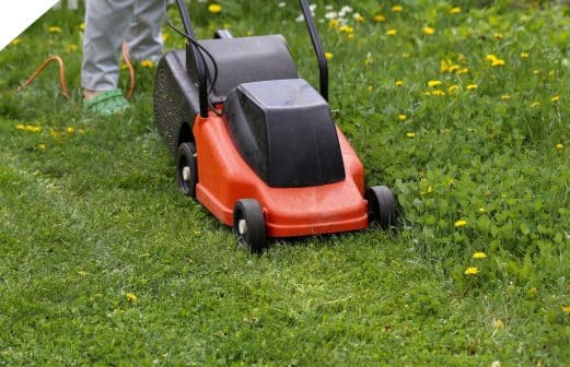 Tİps for Mowing the Lawn