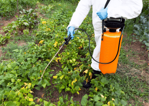 Organic Herbicide