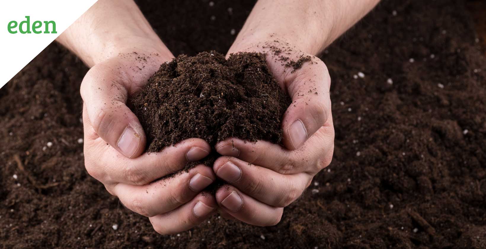 Topsoil Definition and Usage