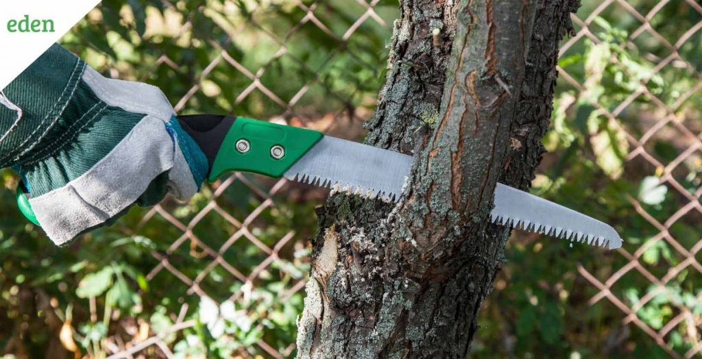Best Pruning Saws in 2022 Eden Lawn Care and Snow Removal