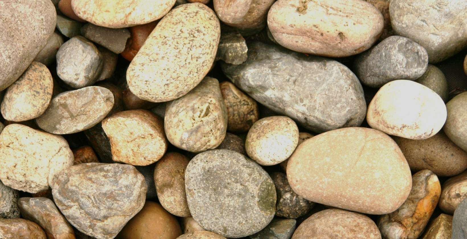 8 Types of Landscaping Rocks and How to Choose One