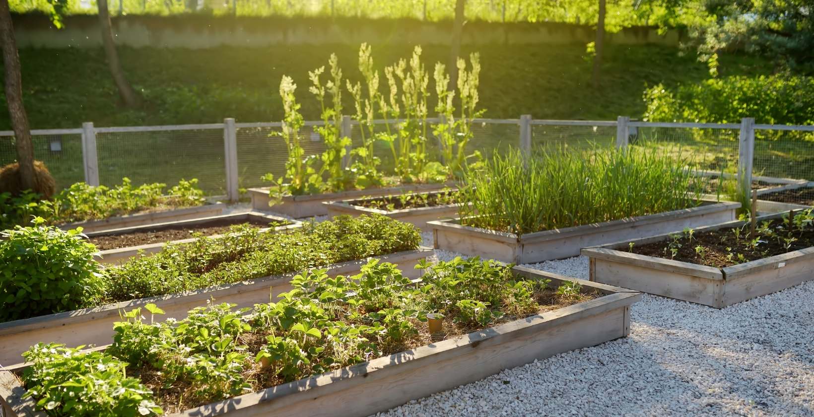 Soil for Raised Beds