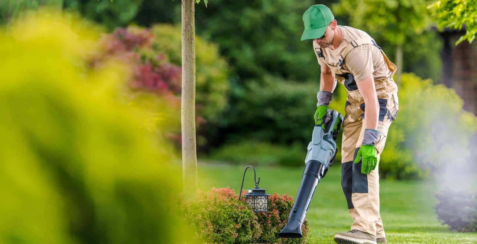 Lawn debris cleaning