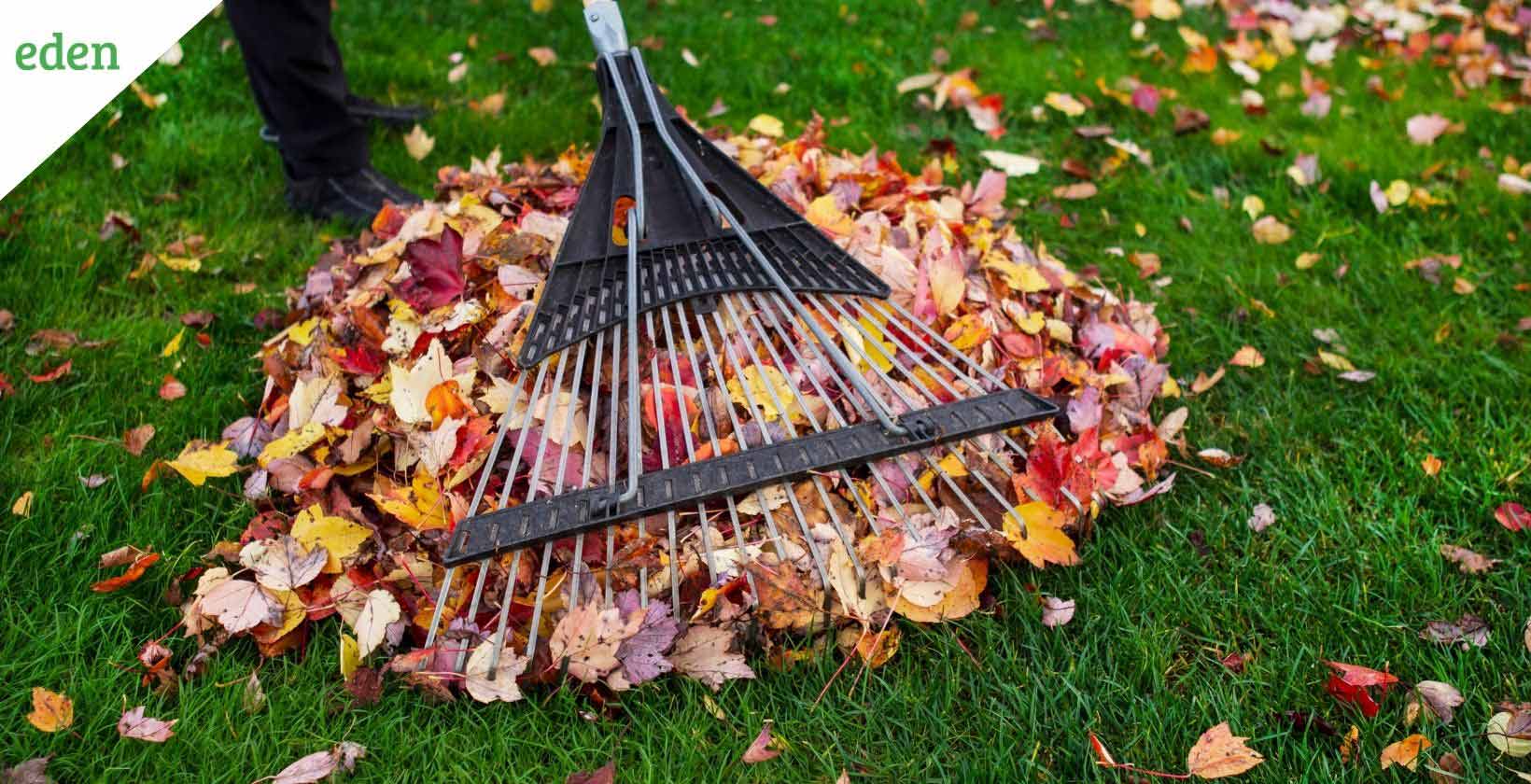 Tips And Tricks For Fast And Easy Fall Yard Cleanup Eden Lawn Care 