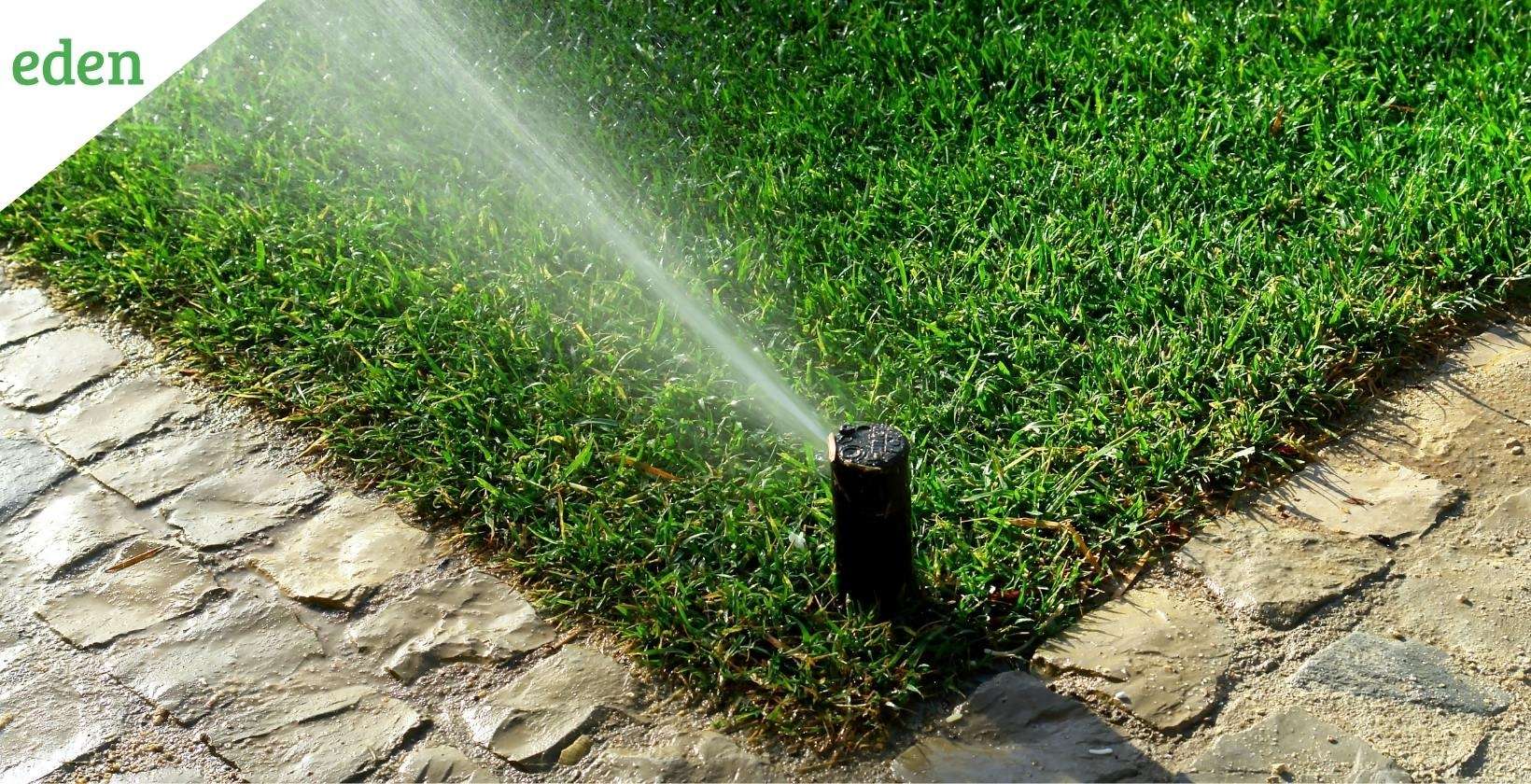 Install an irrigation system