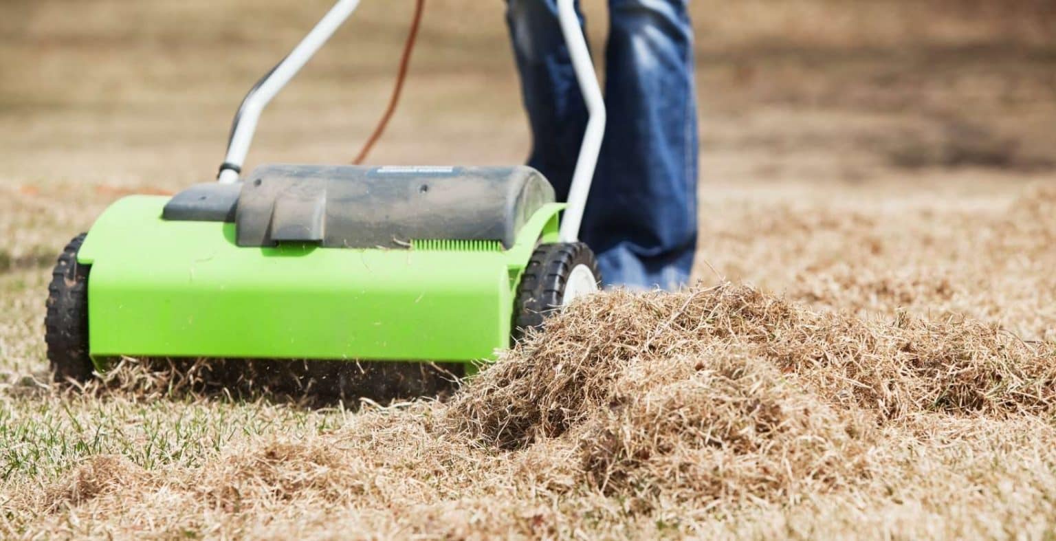 Important Things To Know About Dethatching A Lawn Eden Lawn Care and