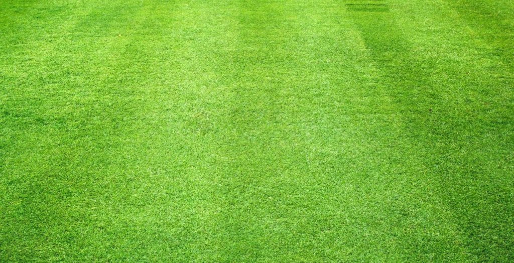 Lawn topdressing Why, When and How to do it Eden Lawn Care and Snow