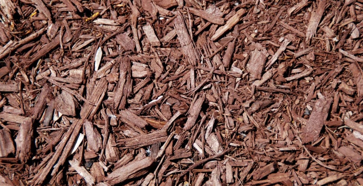Mulching Advantages and Disadvantages Eden Lawn Care and Snow Removal