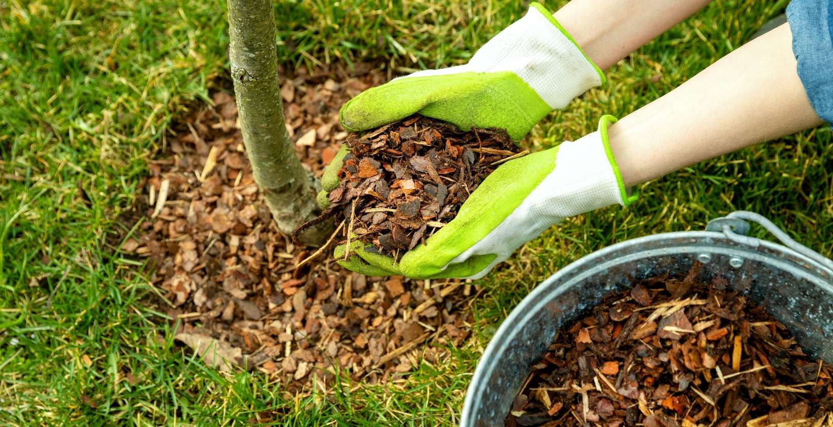 what are the benefits of mulching