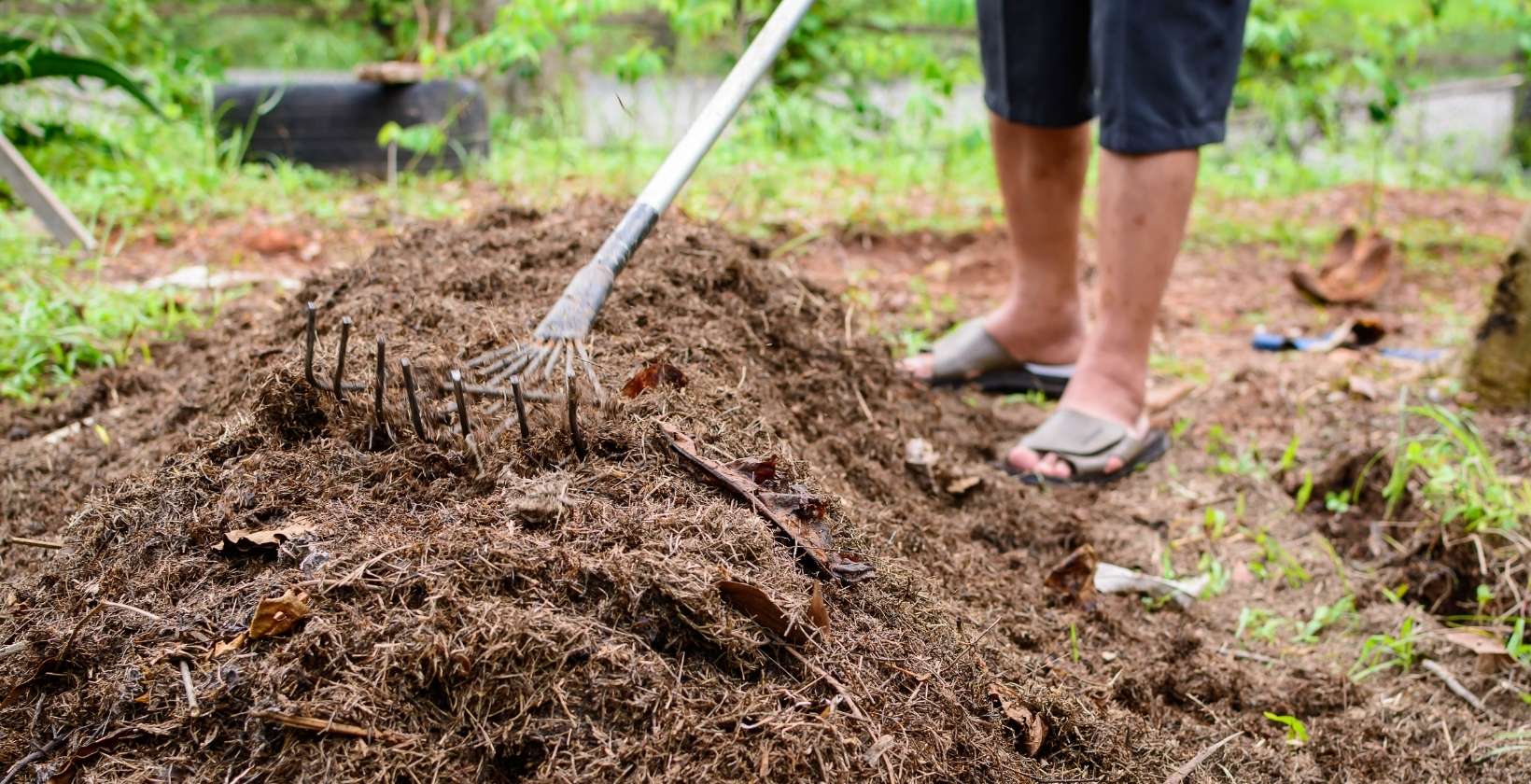 how-to-fertilize-soil-eden-lawn-care-and-snow-removal