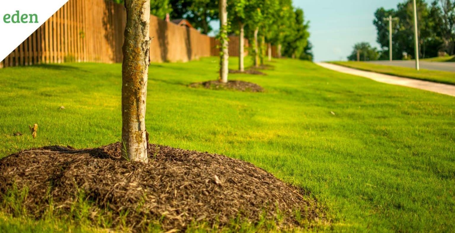 Best Type of Mulch for Your Landscape Eden Lawn Care and Snow Removal