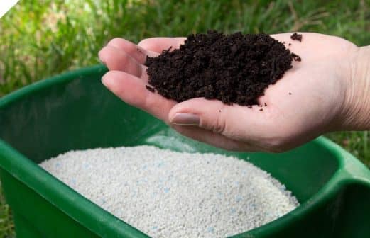 Applying Starter Fertilizer to Your Lawn