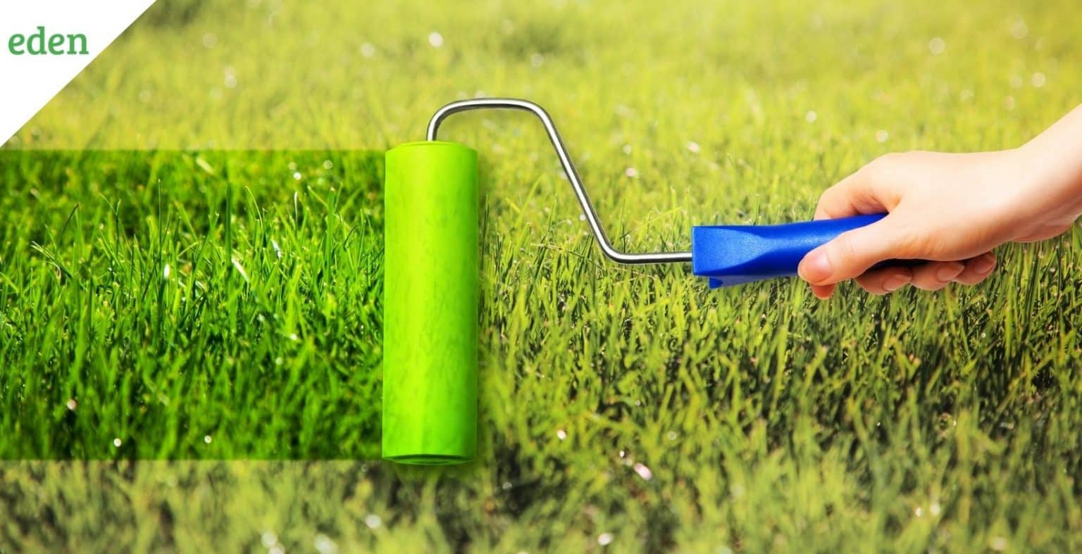 Grass Paint Definition and Usage in Lawn Eden Lawn Care and Snow Removal