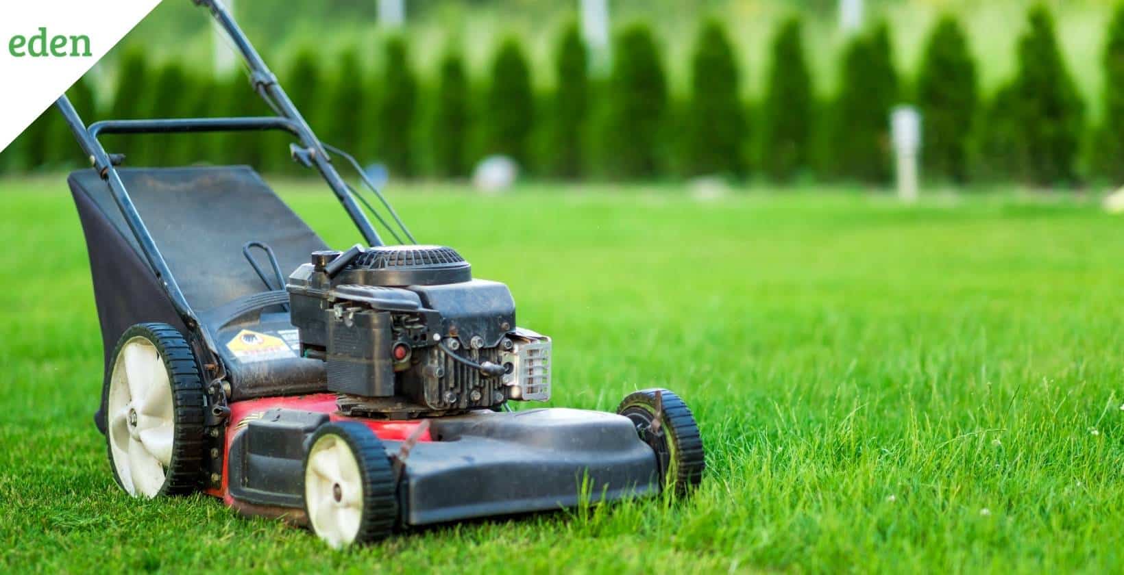 How Much Does A Lawn Mower Cost Eden Lawn Care And Snow Removal