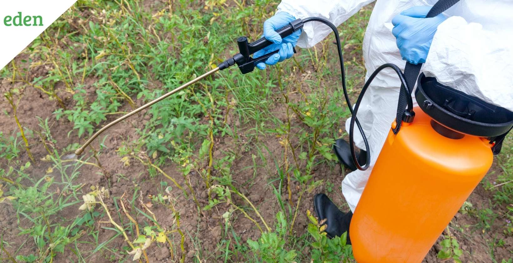 Don’t use Vinegar as a Weed Killer: Here’s Why?