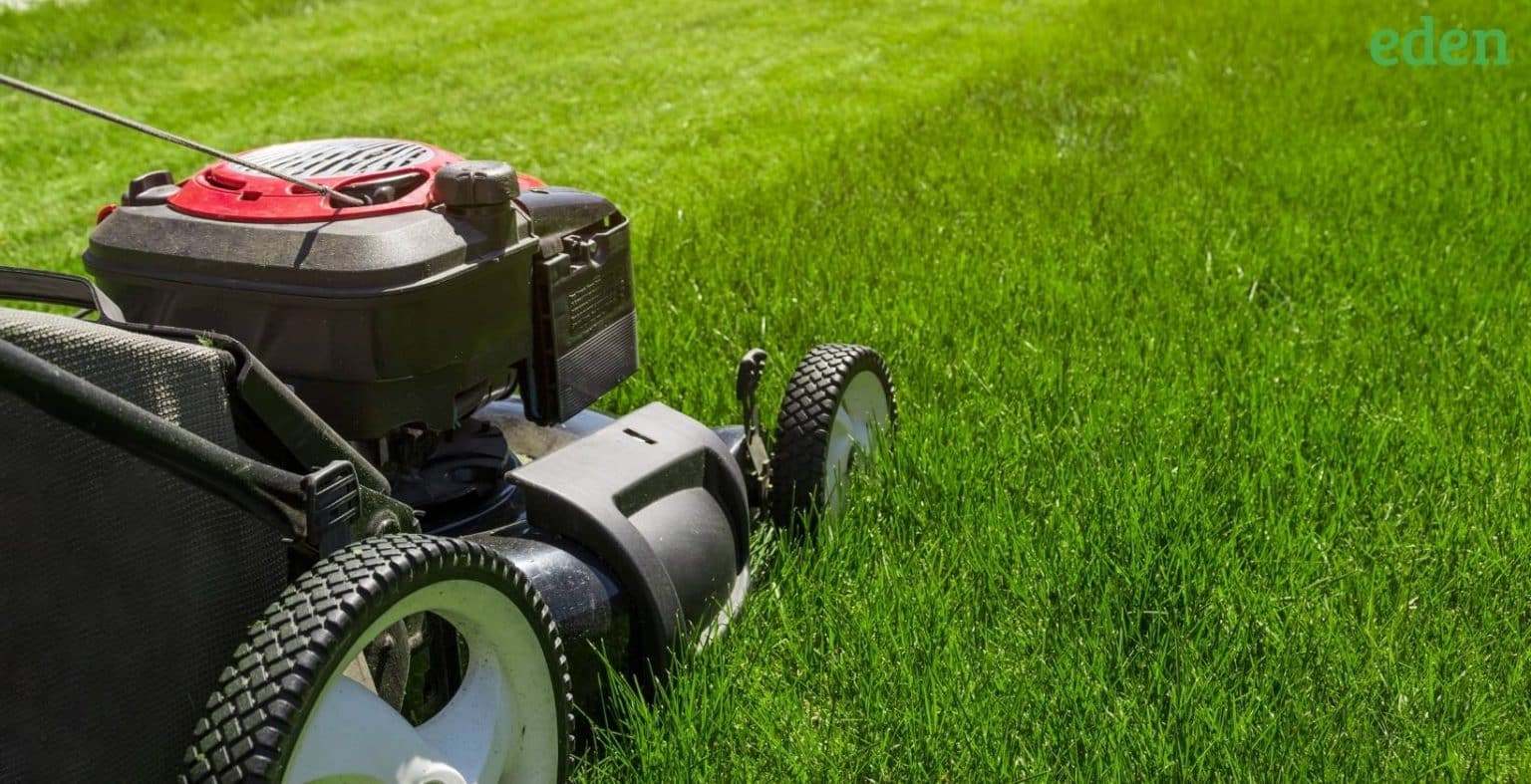 How much does a lawn mower cost? Eden Lawn Care and Snow Removal