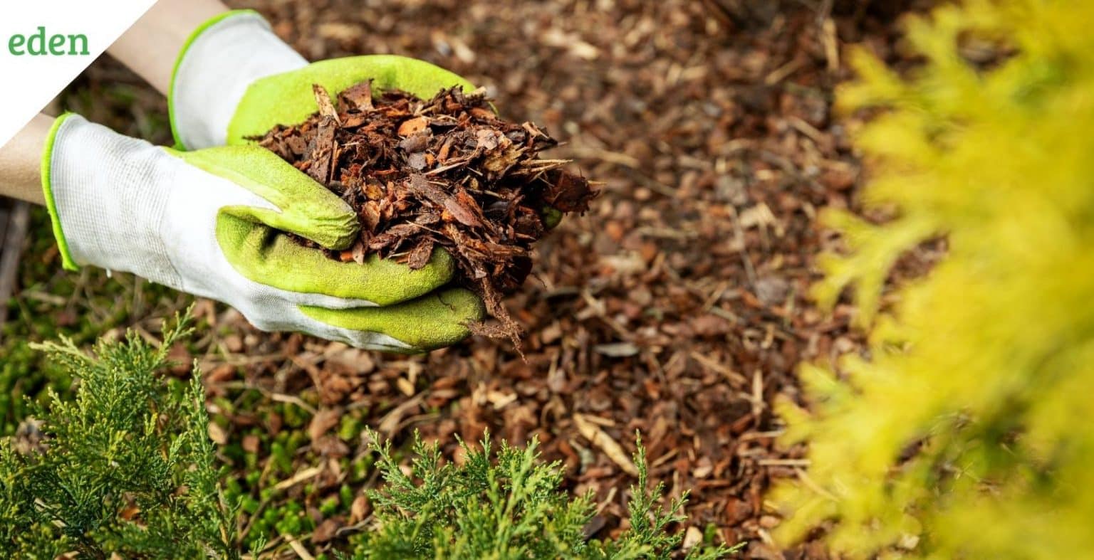 What is the Cost of Mulch? Eden Lawn Care and Snow Removal