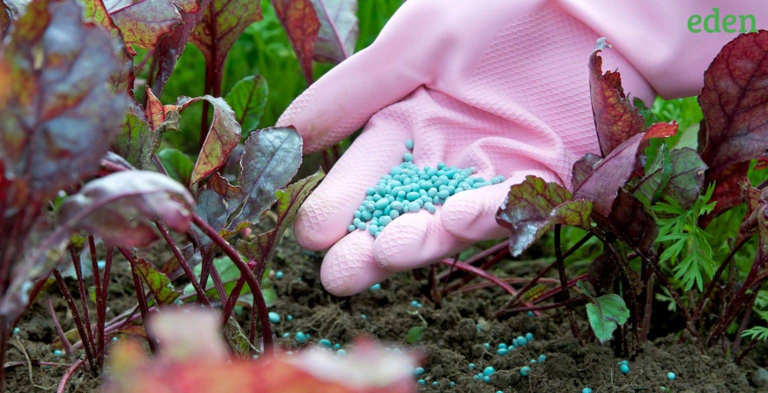 7 Things You Should Know About Applying Starter Fertilizer