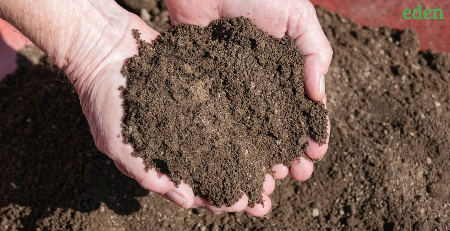 How to Spread Topsoil and the Best Ways to do it Eden Lawn Care and