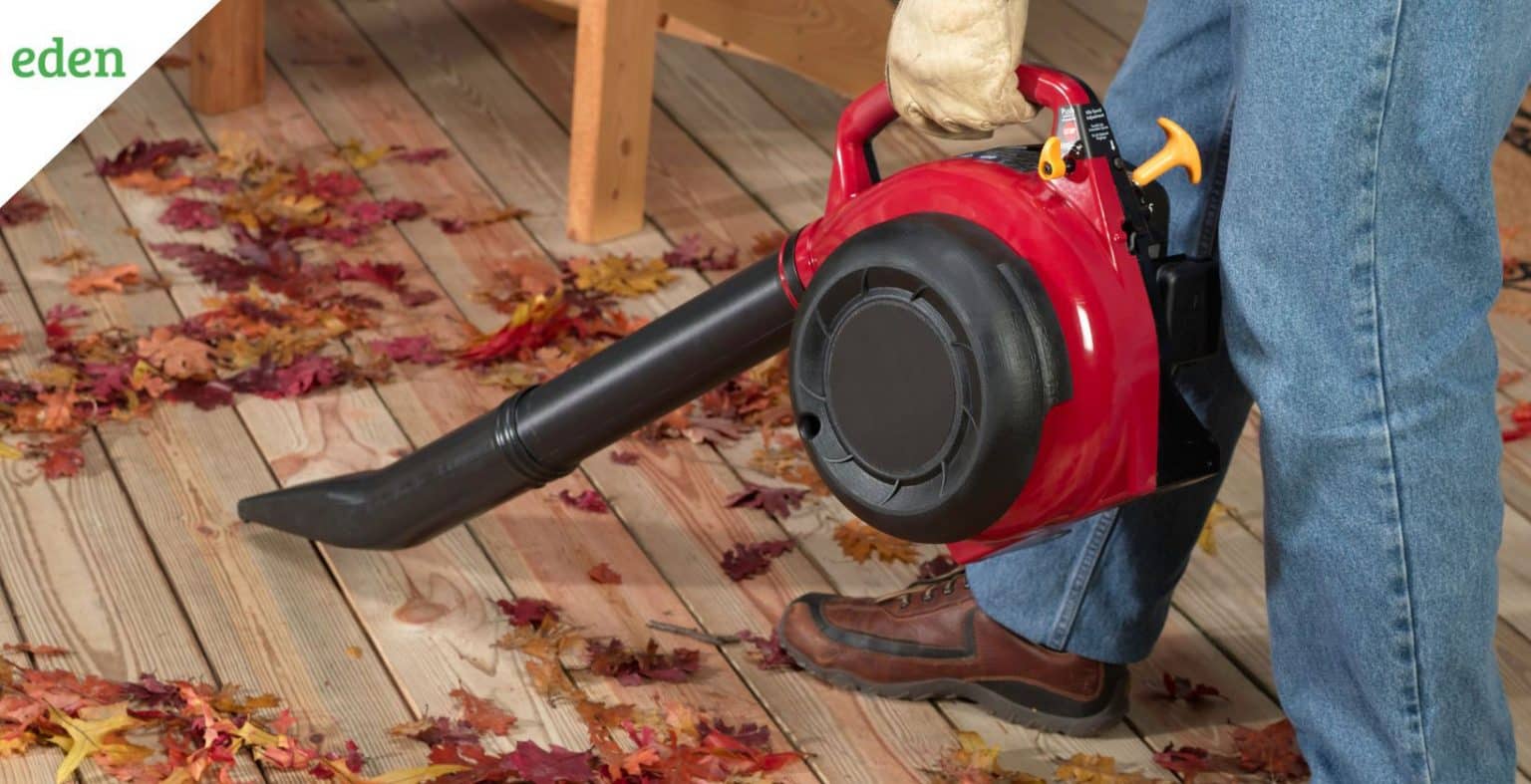 7 Best BatteryPowered Leaf Blowers for your Yard Eden Lawn Care and
