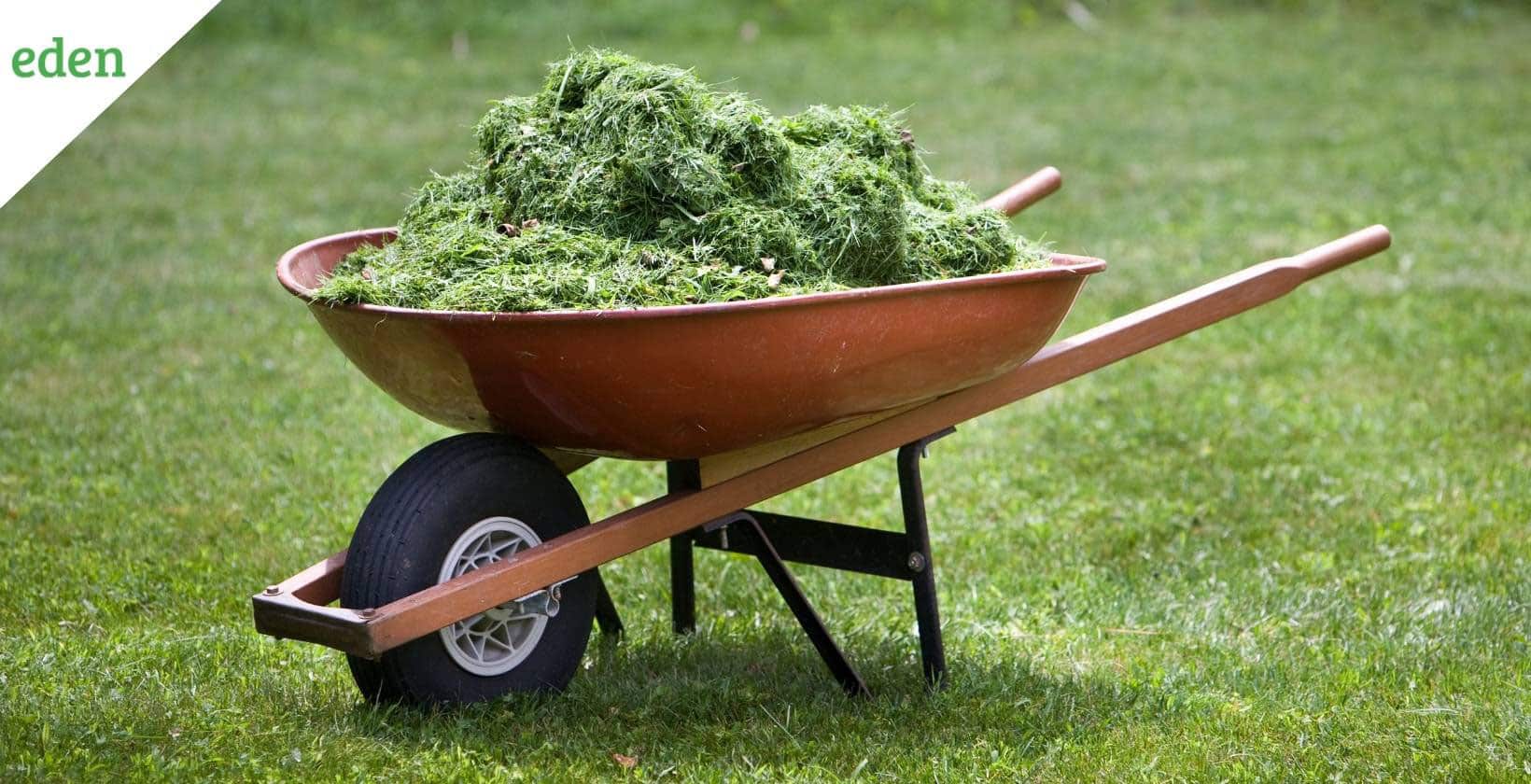 Benefits of Mulching your Grass Clippings Eden Lawn Care and Snow Removal