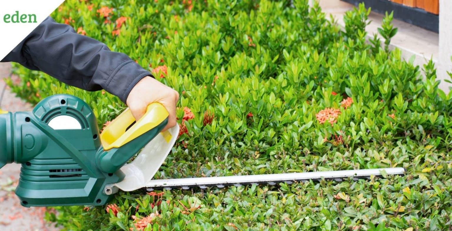 7 Best Electric Hedge Trimmers For Your Yard Eden Lawn Care and Snow