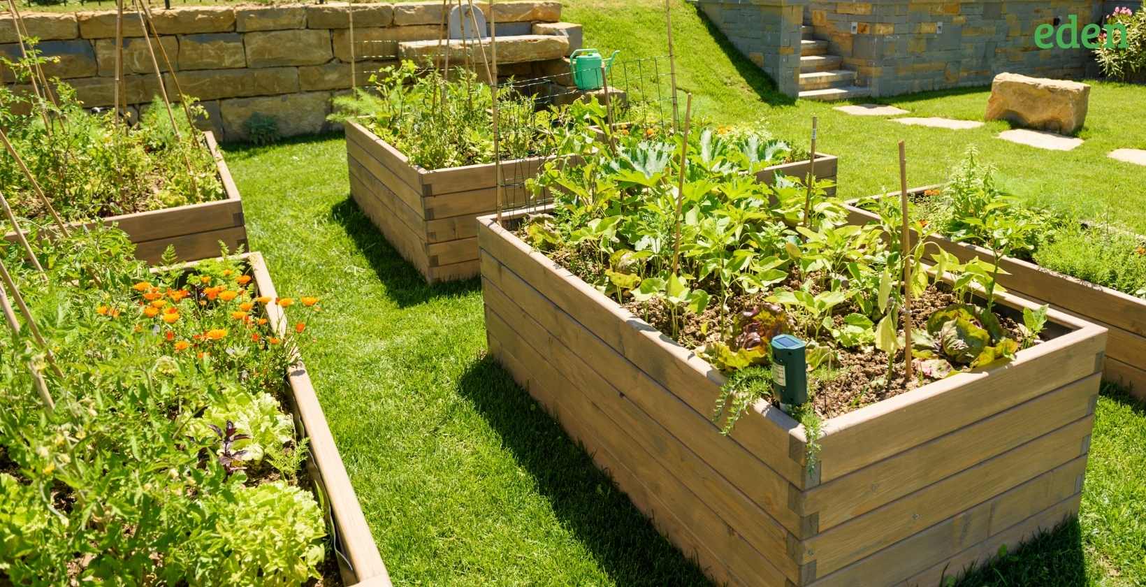 Garden beds