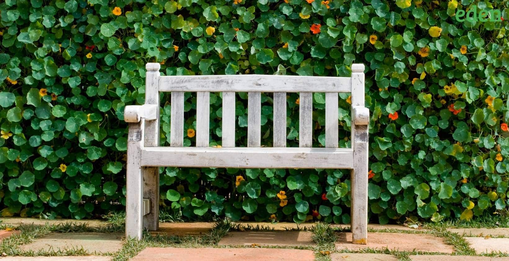 yard bench