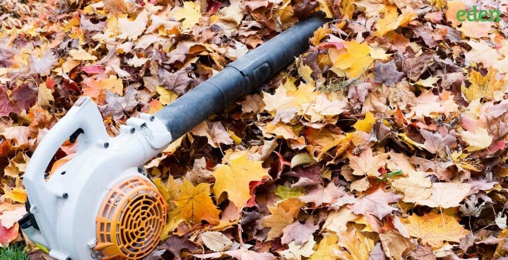What is the cost of a leaf blower? Eden Lawn Care and Snow Removal