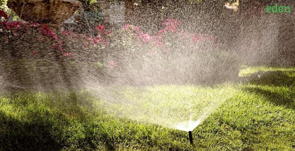 How to Install a Home Lawn Sprinkler System? Eden Lawn Care and Snow
