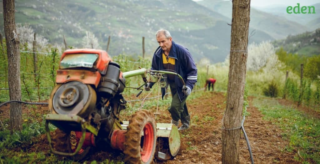 How To Use A Tiller To Remove Grass? Eden Lawn Care and Snow Removal