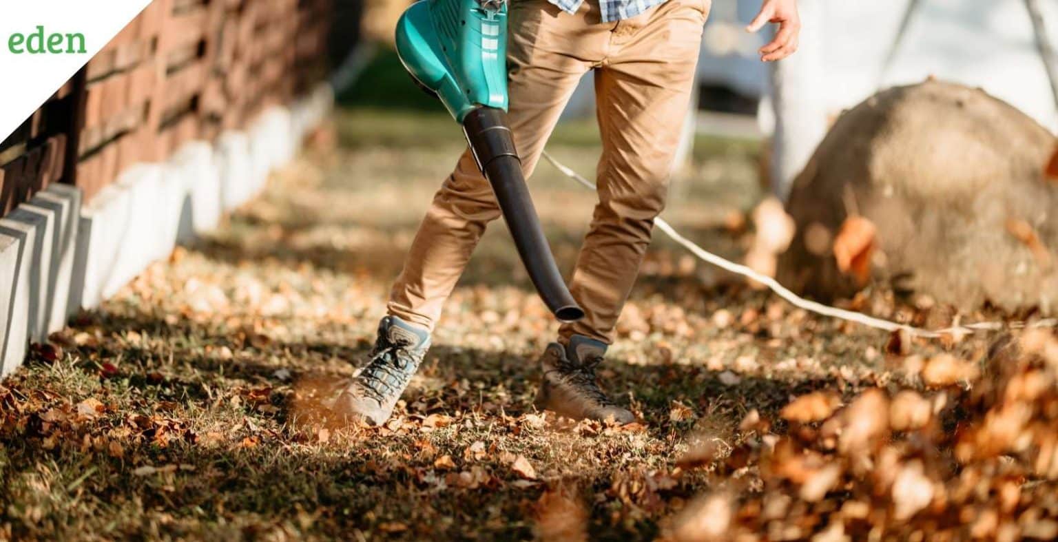 Best Backpack Leaf Blowers of 2022 Eden Lawn Care and Snow Removal