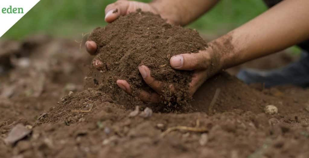 Causes and Cures of Compacted Soil Eden Lawn Care and Snow Removal