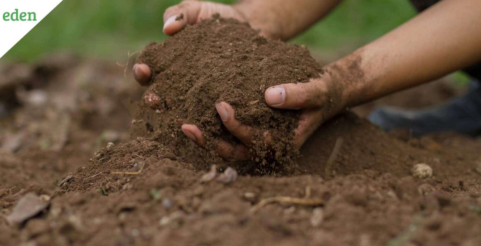 Causes and Cures of Compacted Soil | Eden Lawn Care and Snow Removal