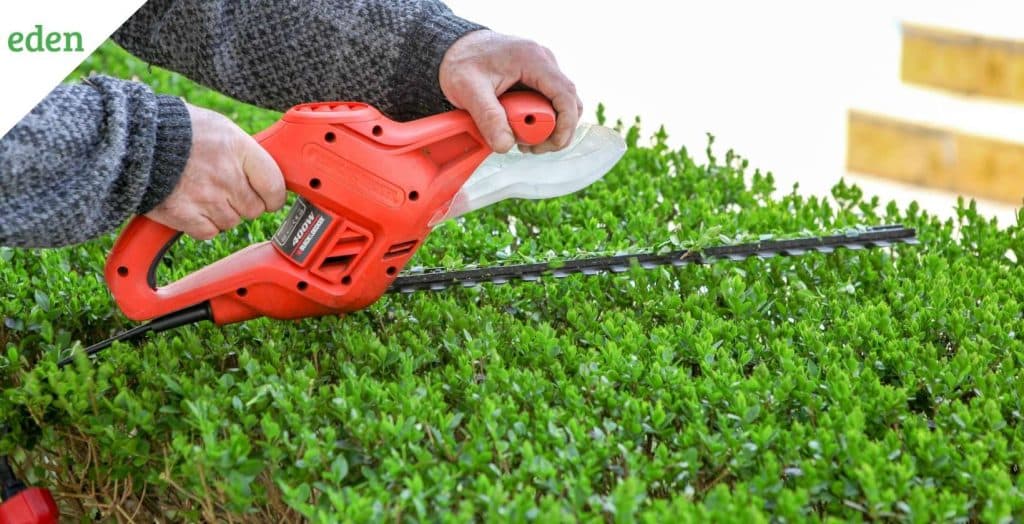 How Much Does Hedge Trimming Cost? Eden Lawn Care and Snow Removal