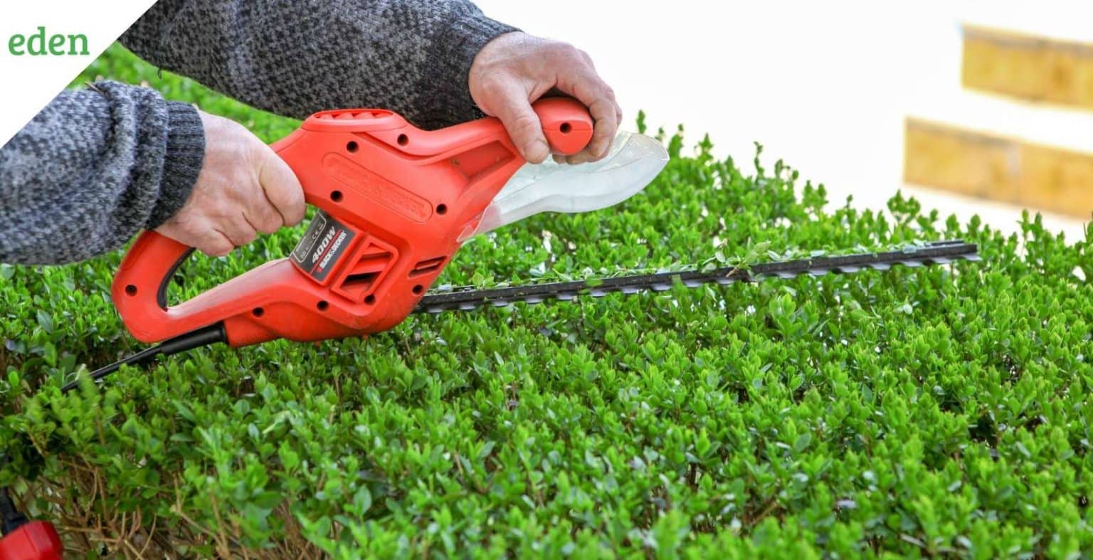 how-much-does-hedge-trimming-cost-eden-lawn-care-and-snow-removal